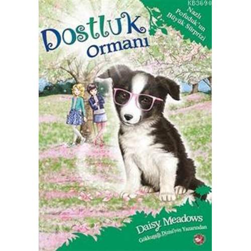 Dostluk Ormanı 10 - Nazlı Pofudukun Büyük Sürprizi  (4022) Dostluk Ormanı 10 - Nazlı Pofudukun Büyük Sürprizi  (4022)