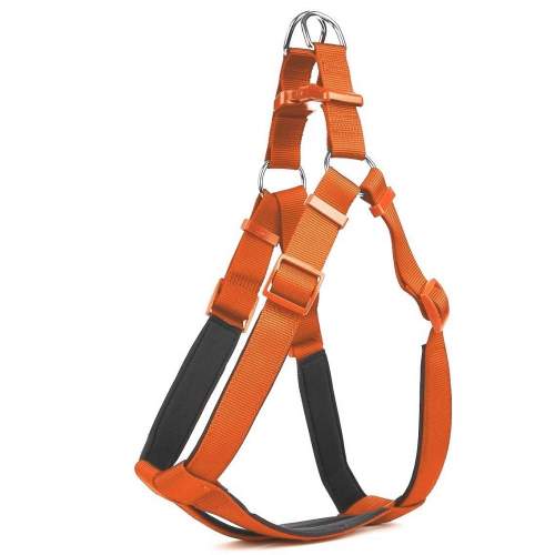 Köpek Bel Tasması 95cm XX-Large Turuncu Köpek Bel Tasması 95cm XX-Large Turuncu