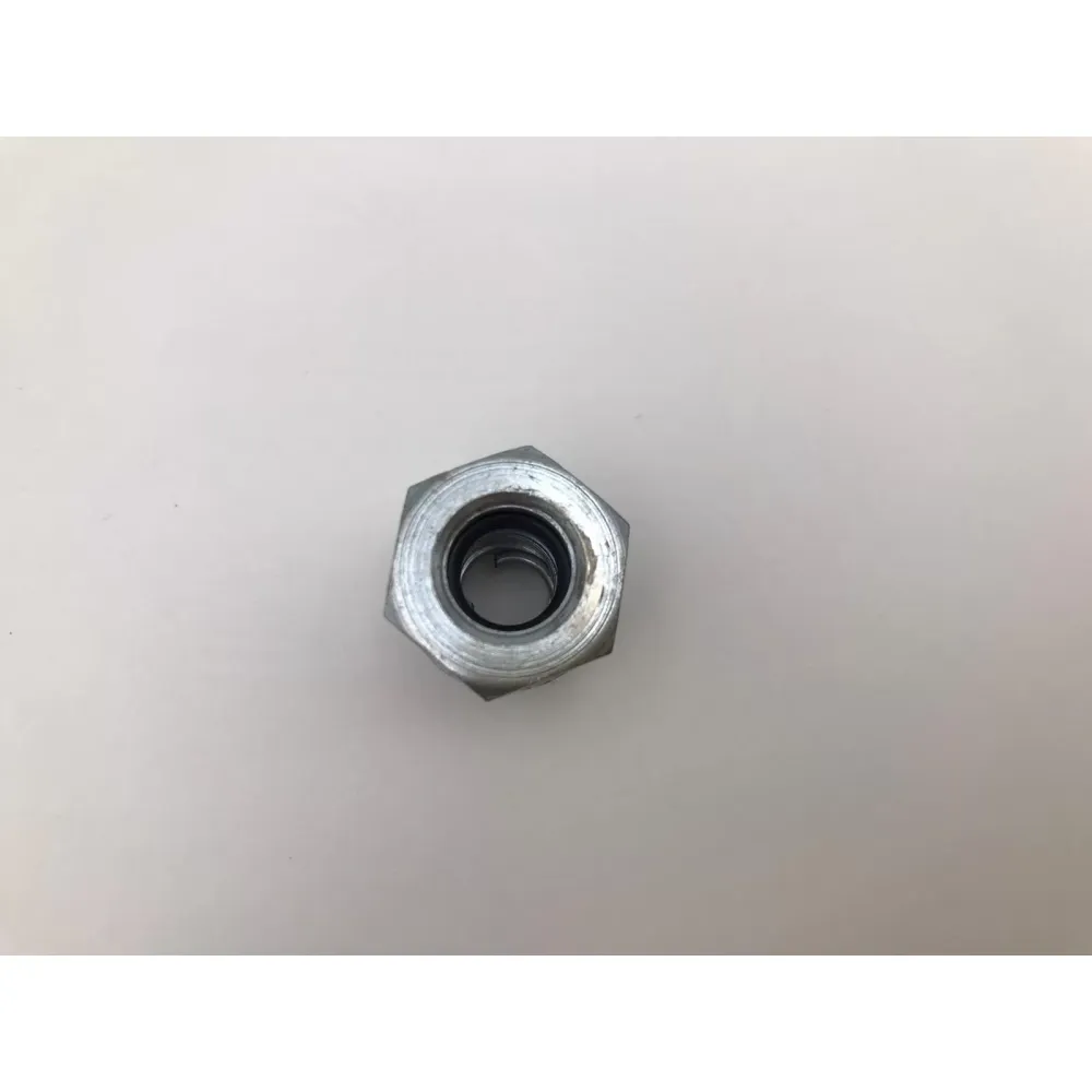FORD DİREKSİYON REKORU (Lisinya)