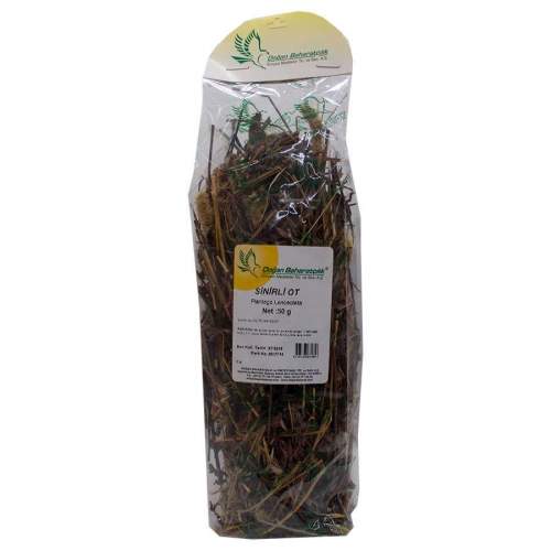 Sinirli Yaprak Otu Sinirli Ot Doğal 50 Gr Paket Sinirli Yaprak Otu Sinirli Ot Doğal 50 Gr Paket