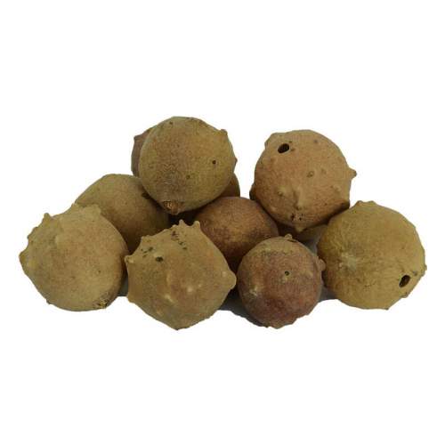 Mazı Meyve Kozalağı Doğal 100 Gr Paket Mazı Meyve Kozalağı Doğal 100 Gr Paket