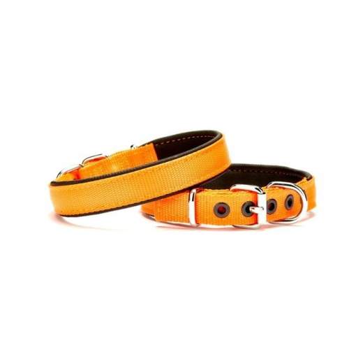 Yumuşak Doku Köpek Boyun Tasması 1,5/35 cm Turuncu Yumuşak Doku Köpek Boyun Tasması 1,5/35 cm Turuncu