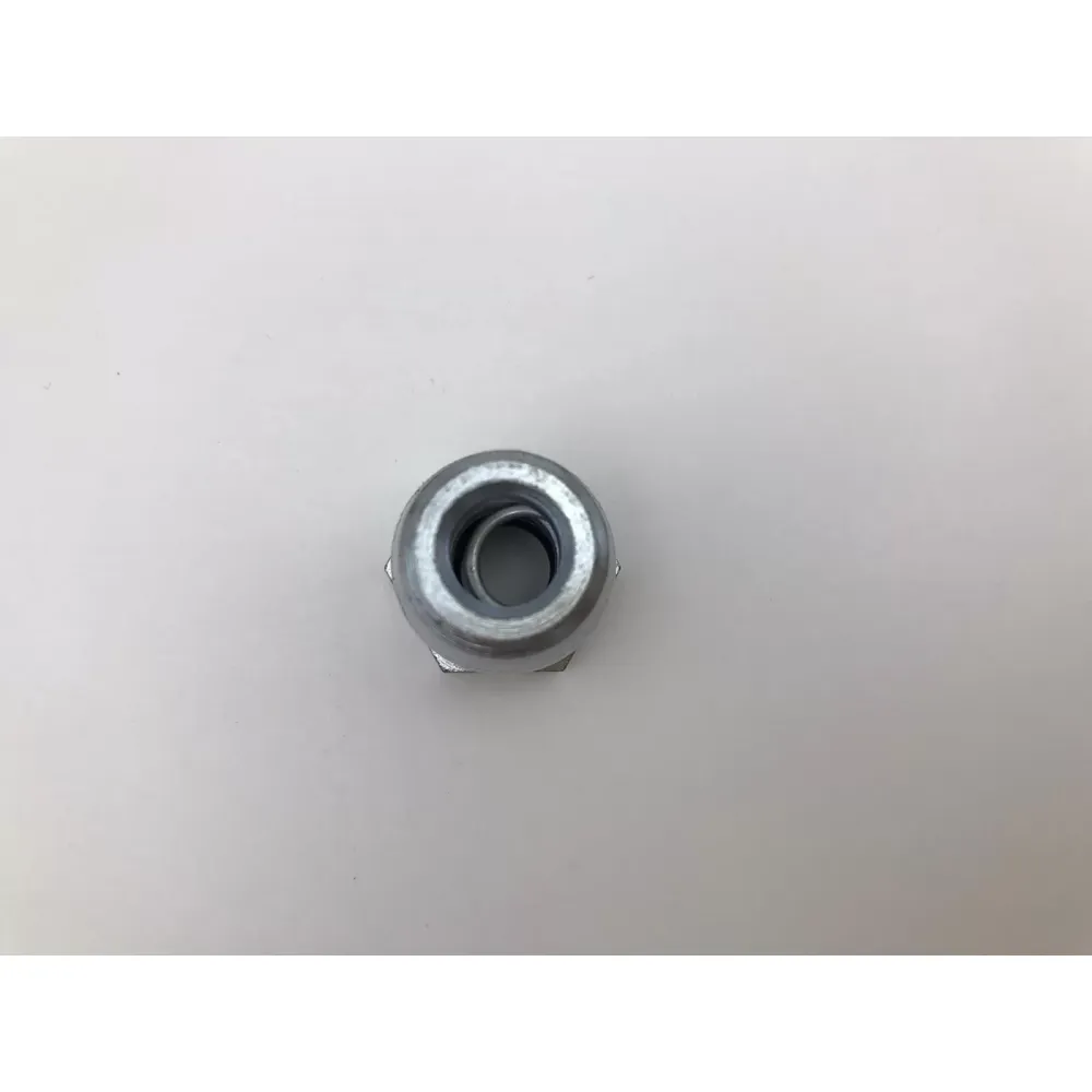 FORD DİREKSİYON REKORU (Lisinya)