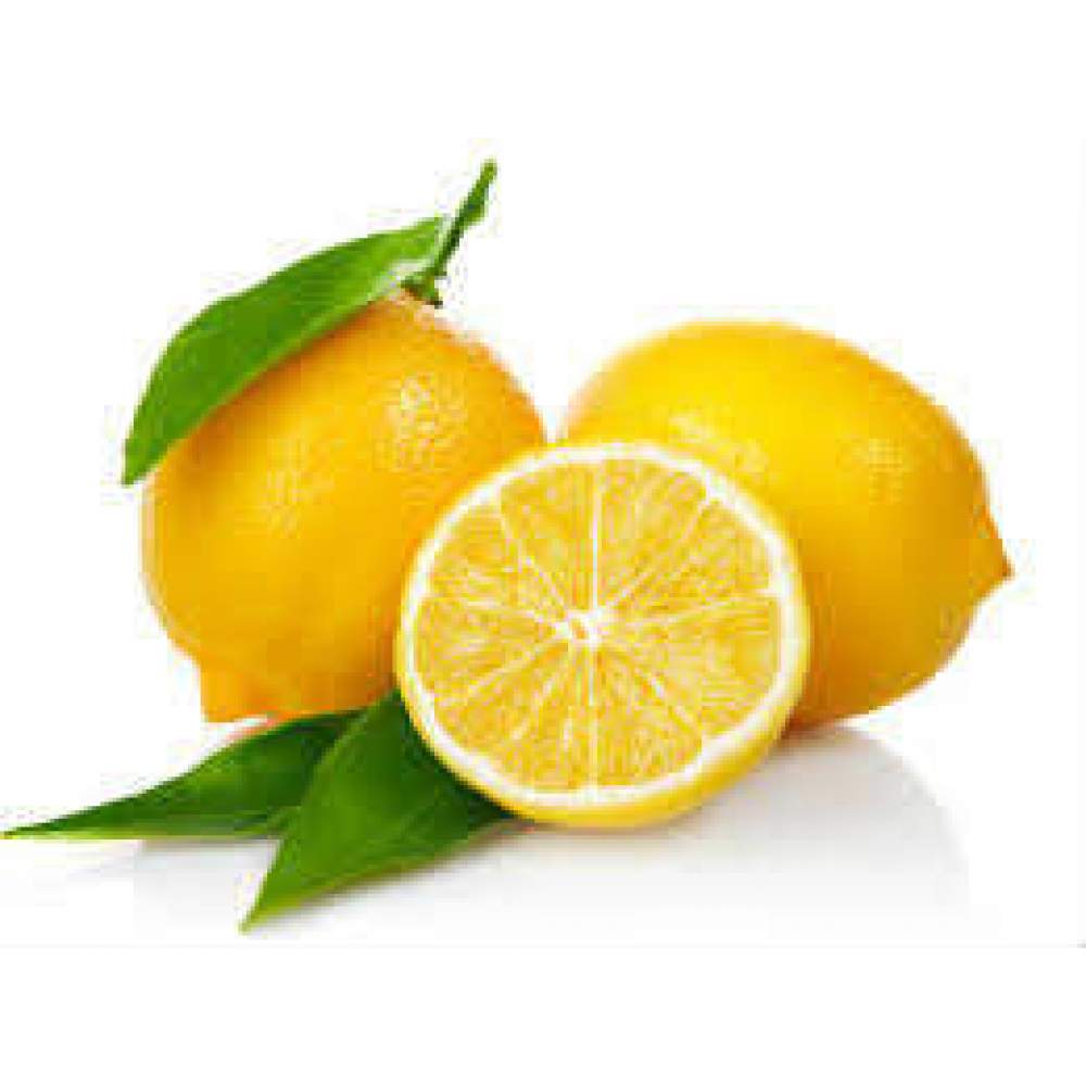 Limon Bonesi / 250 Adet / Bitki Çayı Bonesi Limon Bonesi / 250 Adet / Bitki Çayı Bonesi