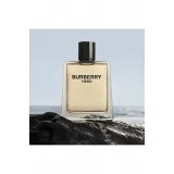 Burberry Hero EDT 100 ml Natural Spray Erkek Parfümü